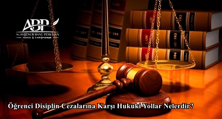 Öğrenci Disiplin Cezalarına Karşı Hukuki Yollar Nelerdir?