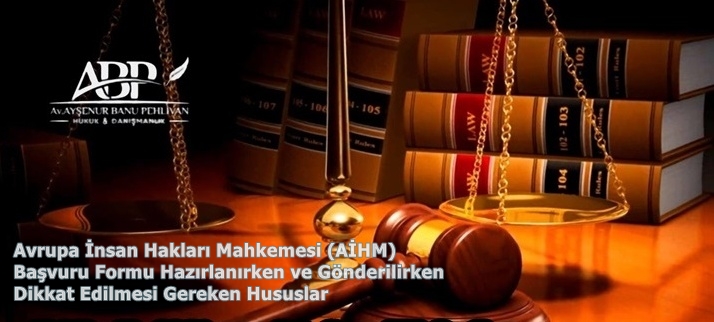 Avrupa İnsan Hakları Mahkemesi (AİHM) Başvuru Formu Hazırlanırken ve Gönderilirken Dikkat Edilmesi Gereken Hususlar